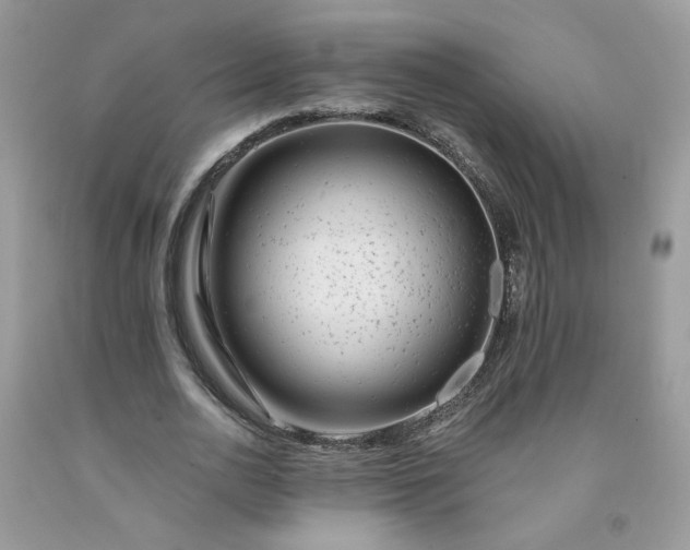 X0000091670726200709061042