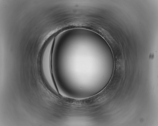 X0000091670727200709061042