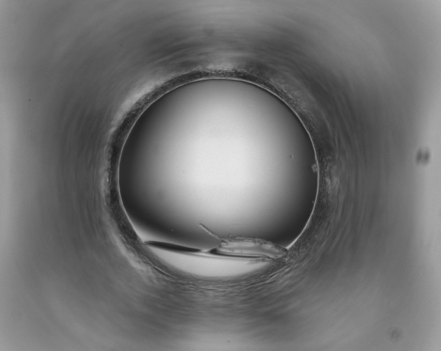 X0000091670728200709061042
