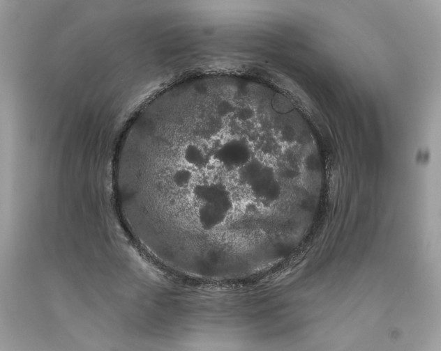 X0000091670729200709061042