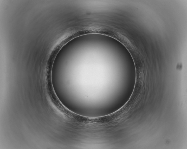 X0000091670730200709061042