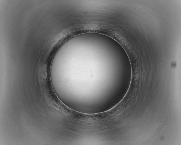 X0000091670731200709061042