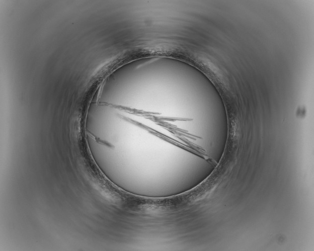 X0000091670733200709061042