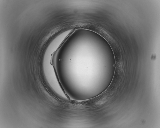 X0000091670734200709061042