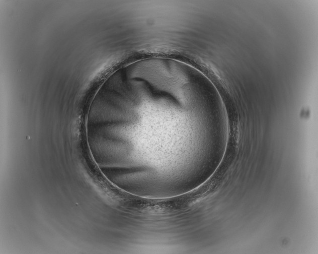 X0000091670735200709061042