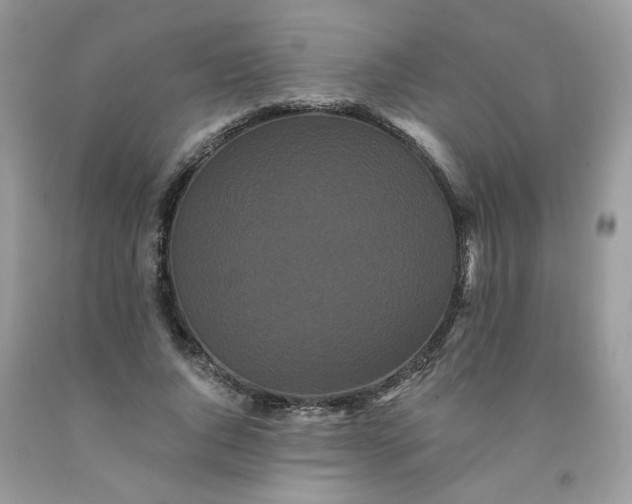 X0000091670736200709061042