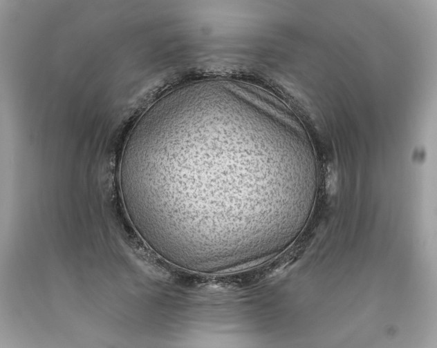 X0000091670737200709061042