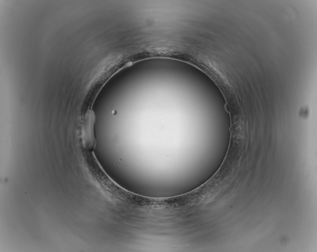 X0000091670738200709061042
