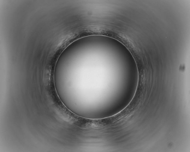 X0000091670739200709061042