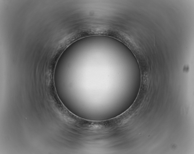 X0000091670741200709061042