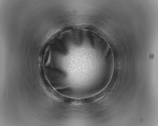 X0000091670742200709061042