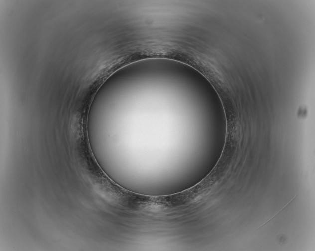X0000091670743200709061042