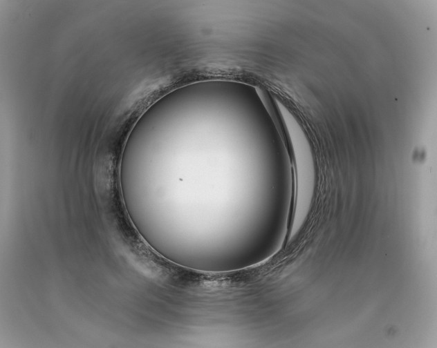 X0000091670744200709061042