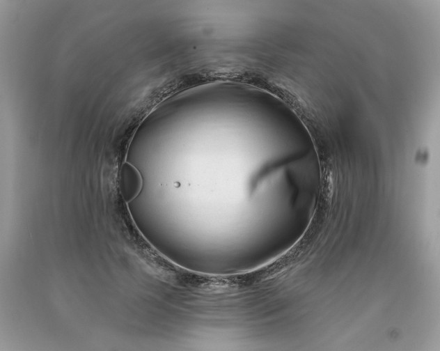 X0000091670745200709061042