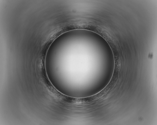 X0000091670746200709061042