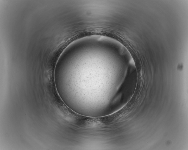 X0000091670747200709061042