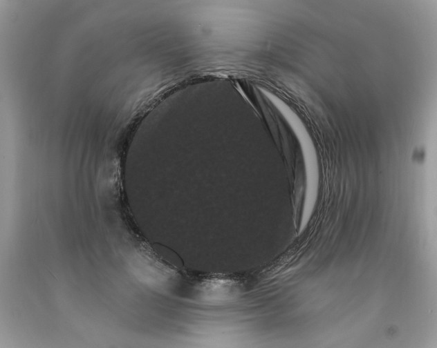 X0000091670748200709061042
