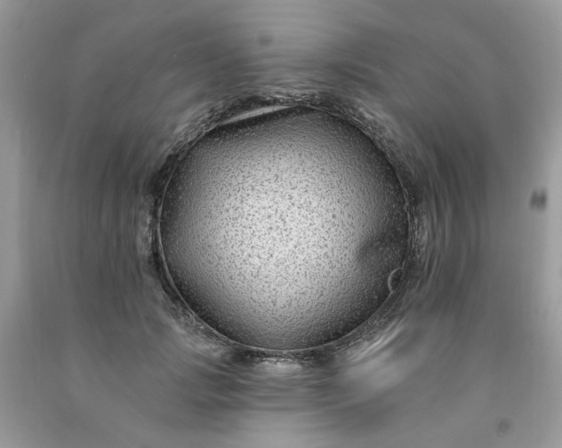 X0000091670749200709061042
