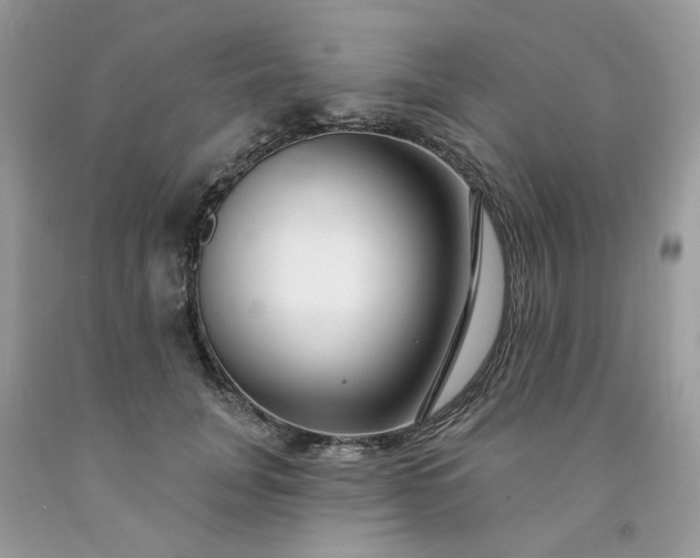 X0000091670751200709061042
