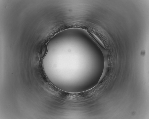X0000091670752200709061042