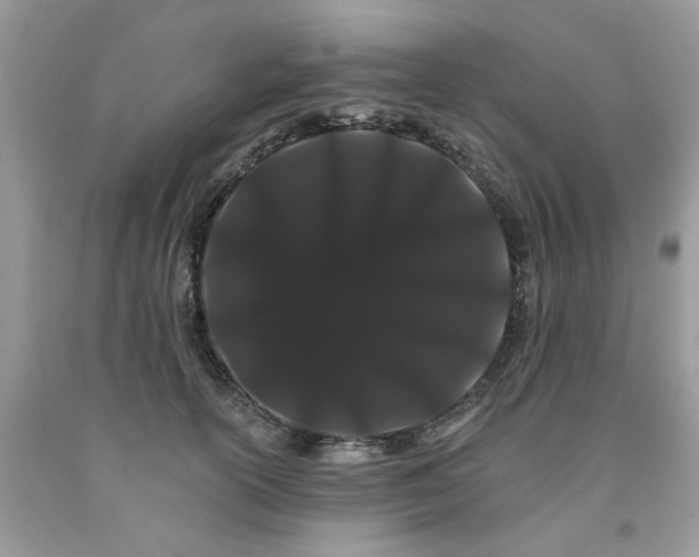 X0000091670754200709061042