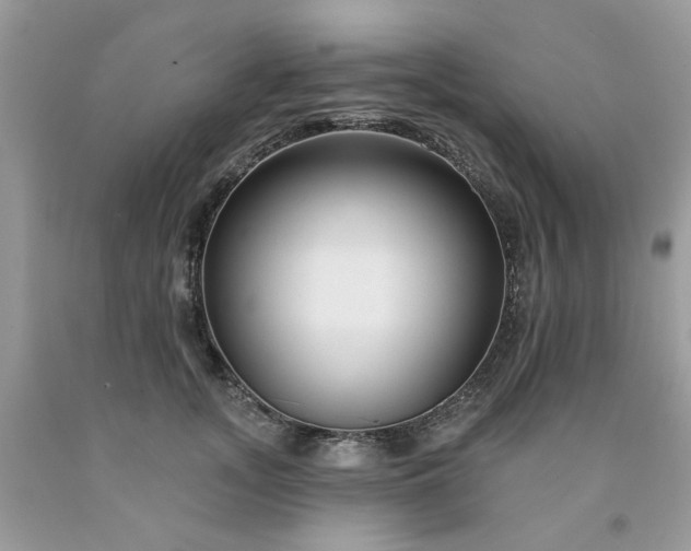 X0000091670755200709061042