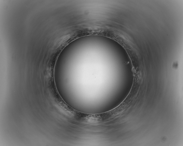 X0000091670756200709061042