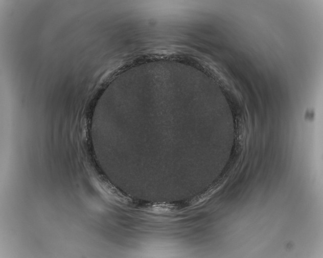 X0000091670758200709061042