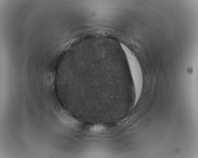 X0000091670759200709061042