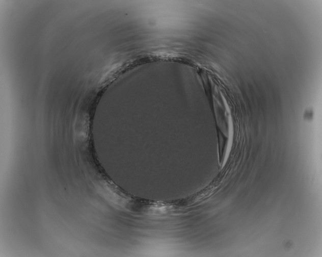 X0000091670760200709061042