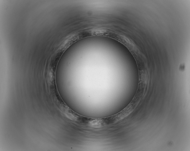 X0000091670761200709061042