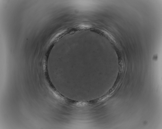 X0000091670762200709061042