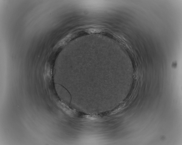 X0000091670763200709061042