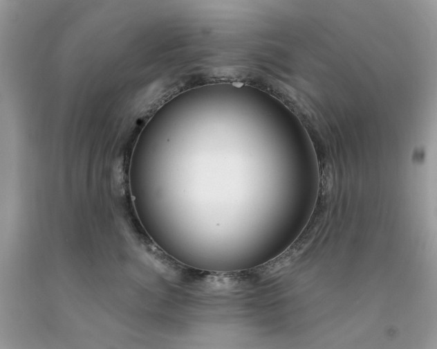 X0000091670764200709061042