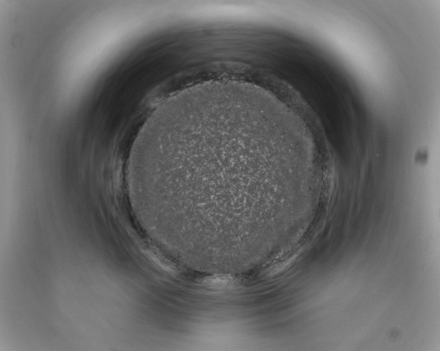 X0000091670765200709061042
