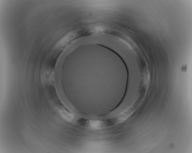X0000091670766200709061042