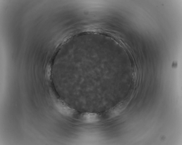 X0000091670767200709061042