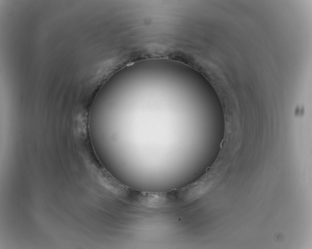 X0000091670768200709061042