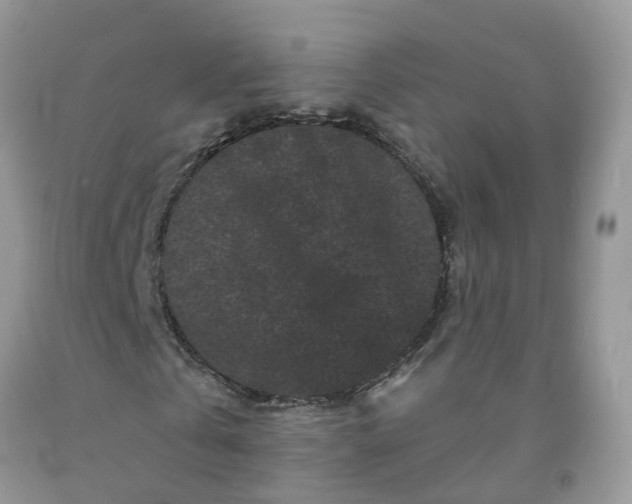 X0000091670769200709061042