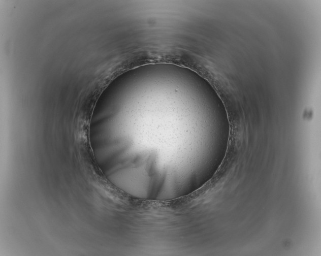 X0000091670770200709061042
