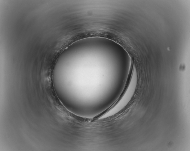 X0000091670771200709061042