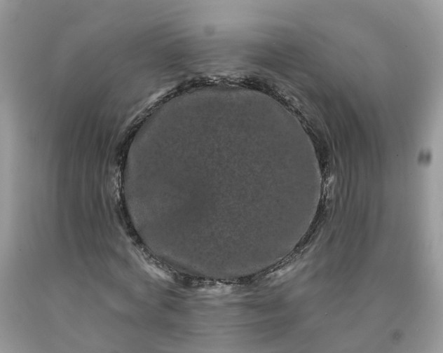 X0000091670772200709061042