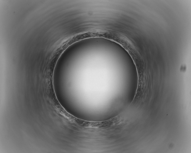 X0000091670773200709061042