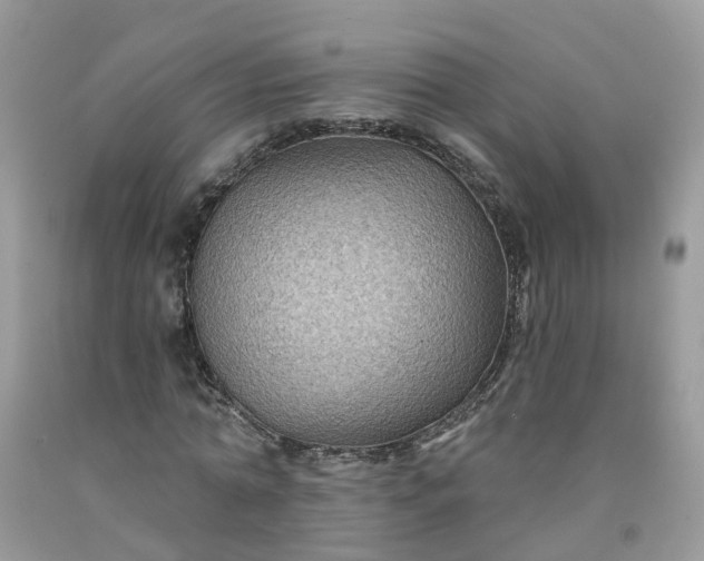 X0000091670774200709061042