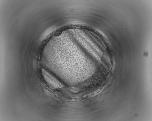 X0000091670775200709061042