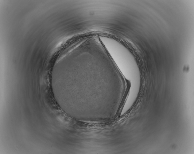 X0000091670776200709061042