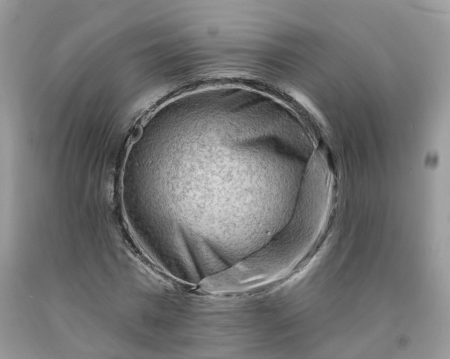 X0000091670777200709061042