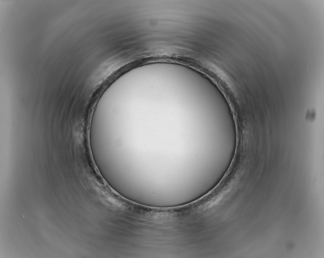 X0000091670778200709061042