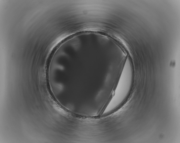 X0000091670779200709061042