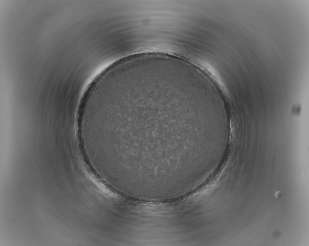 X0000091670780200709061042